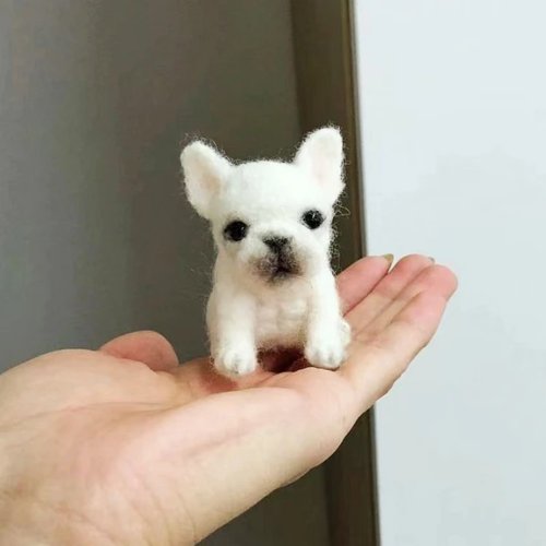 LifeXtyle 樂活式 客製化逼真法國鬥牛犬羊毛氈寵物娃娃定製複刻狗貓咪毛小孩公仔