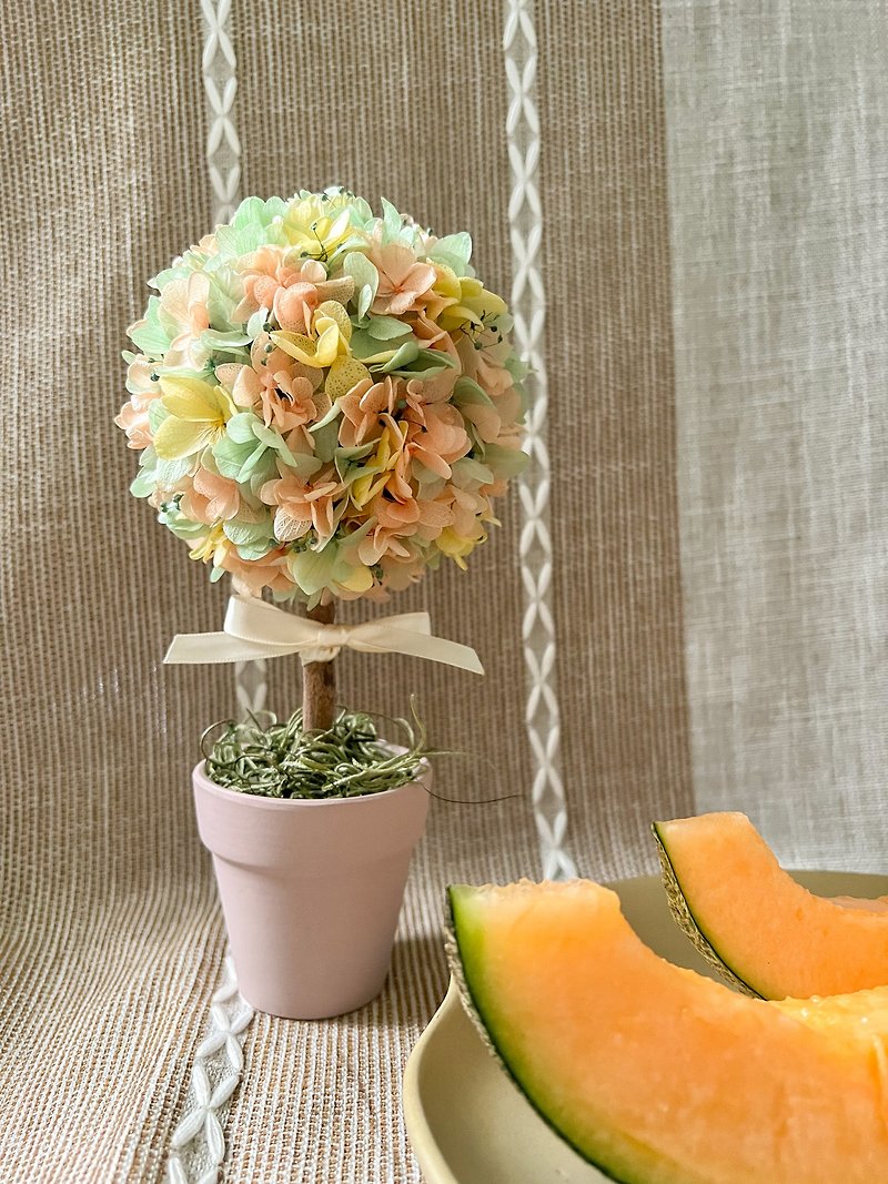 Miracle Tree Series・Hydrangea Tree・Melon Orange/Mint Green/Dawn Yellow - Dried Flowers & Bouquets - Plants & Flowers Multicolor