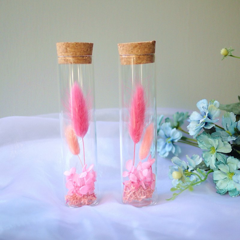 伊登花室 粉紅兔尾草 玻璃試管 / 單個 - 乾花/永生花 - 植物．花 