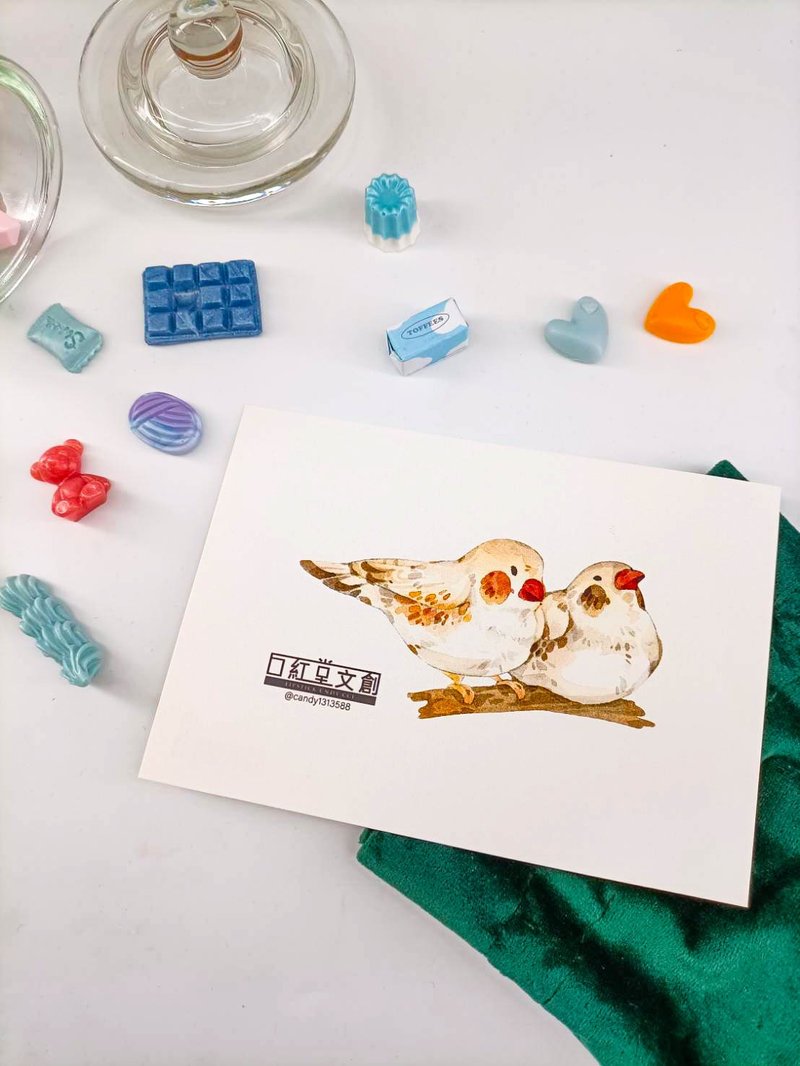 KR474_口紅堂明信片_文鳥6_candy1313588 postcard - 卡片/明信片 - 紙 多色