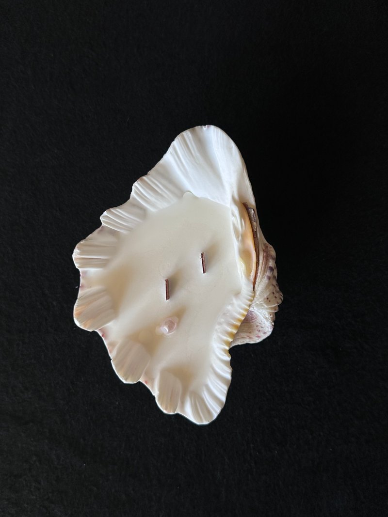 About Mistress’s San Diego Candle-16 - Candles & Candle Holders - Shell White