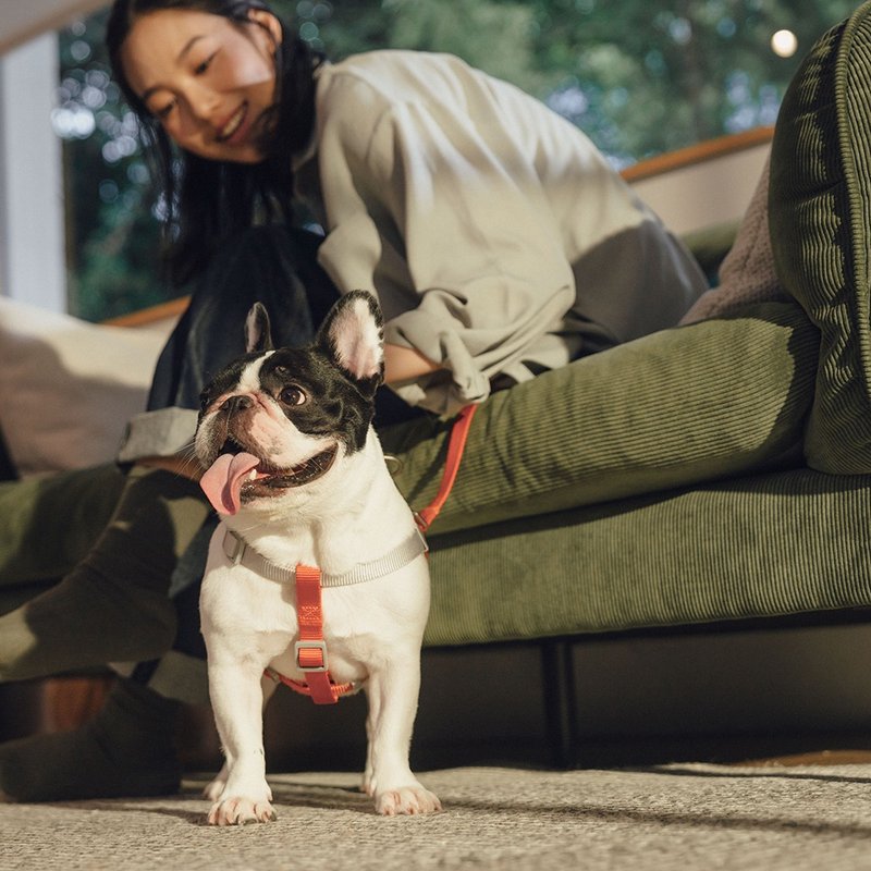 【tails&me 尾巴與我】新經典系列 犬快套胸背帶(共5色) - 項圈/牽繩 - 尼龍 多色