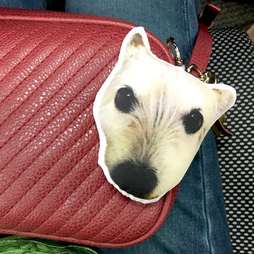 VV Pet 客製化寵物紀念品 客製化布偶鑰匙圈