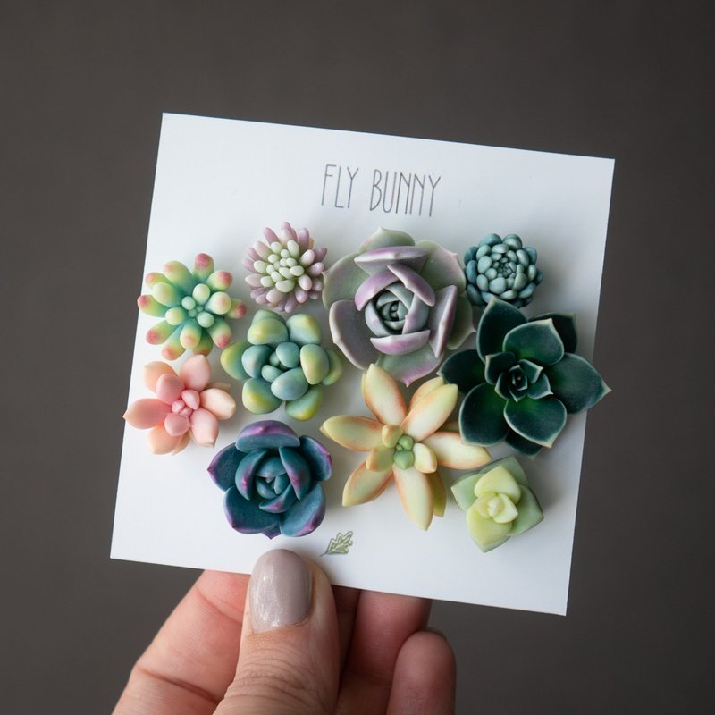 Large succulent brooch set Robin - 胸針 - 其他材質 多色