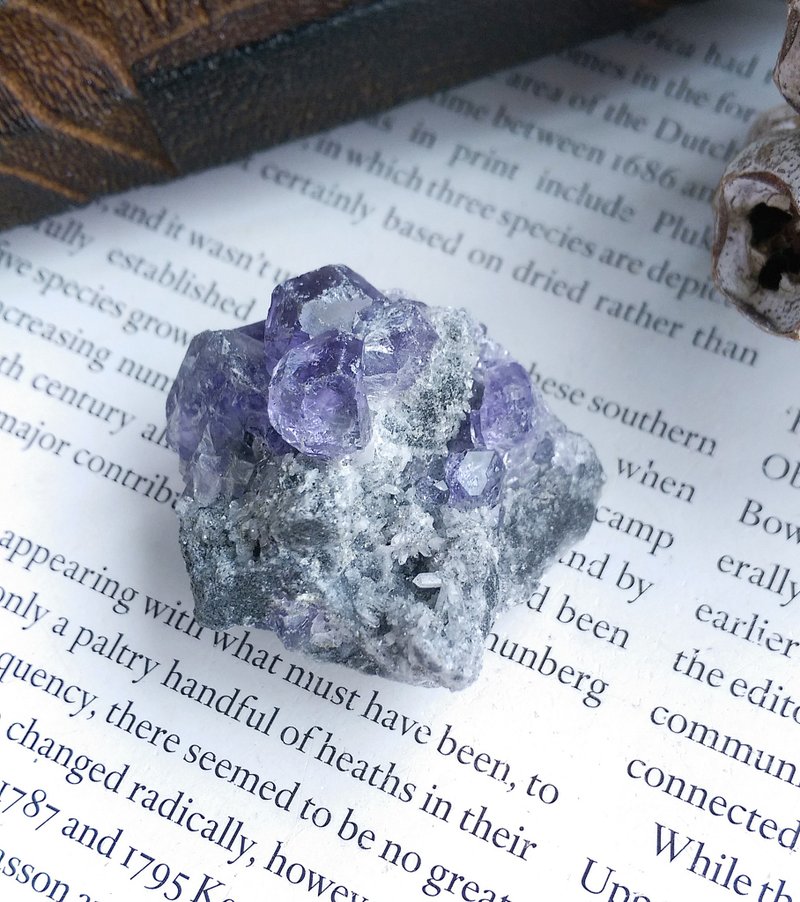 Fluorite  福建產地 清透 紫螢石 水晶共生 天然礦石 原礦 - 擺飾/家飾品 - 其他材質 