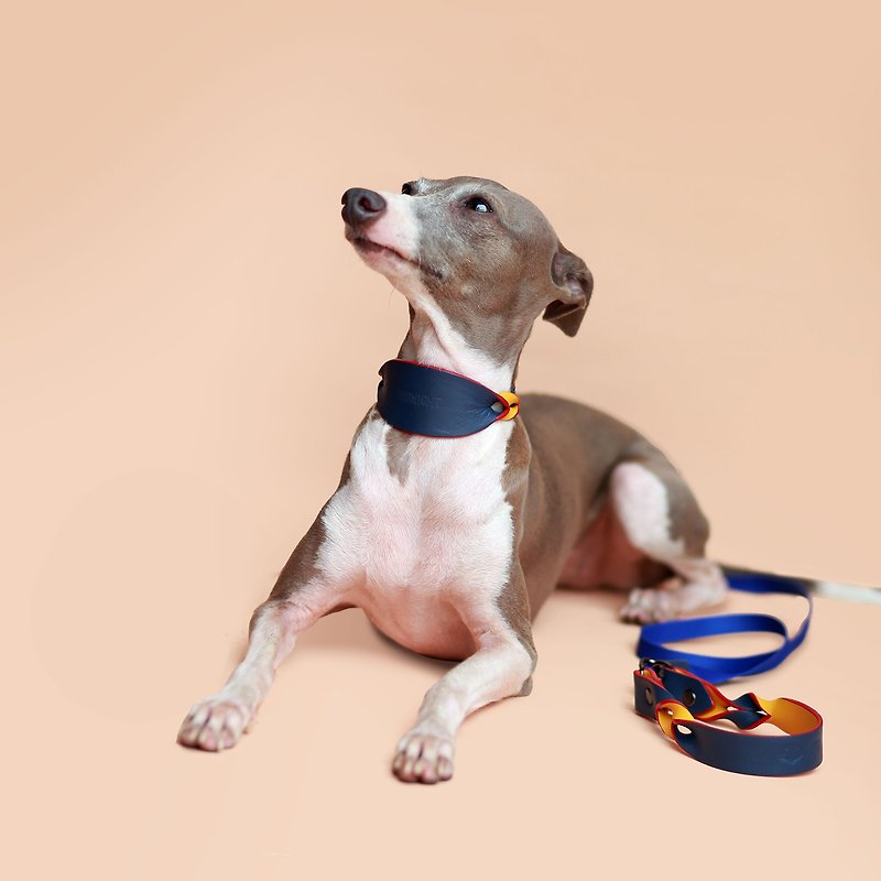 Pet collar & leash set-เซตปลอกคอสัตว์เลี้ยงทวิตส์ (หนา) พร้อมสายจูง | Sniff - ปลอกคอ - หนังแท้ สีน้ำเงิน