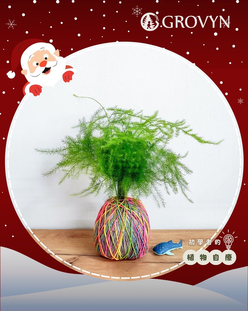 【彩織球】親手編織一顆【會變色的】心之苔球・植物療癒手作 - 盆栽/花藝 - 植物．花 