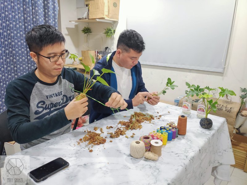 台南【彩織球】溫度變色苔球・淨化空氣盆栽 - 植栽/花藝 - 植物．花 