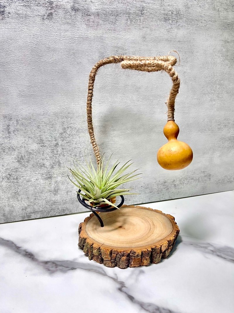 【Driftwood】Fu Lu Ping An | Air Pineapple. Air Tilland | The gift of entering the house - ตกแต่งต้นไม้ - ไม้ สีนำ้ตาล