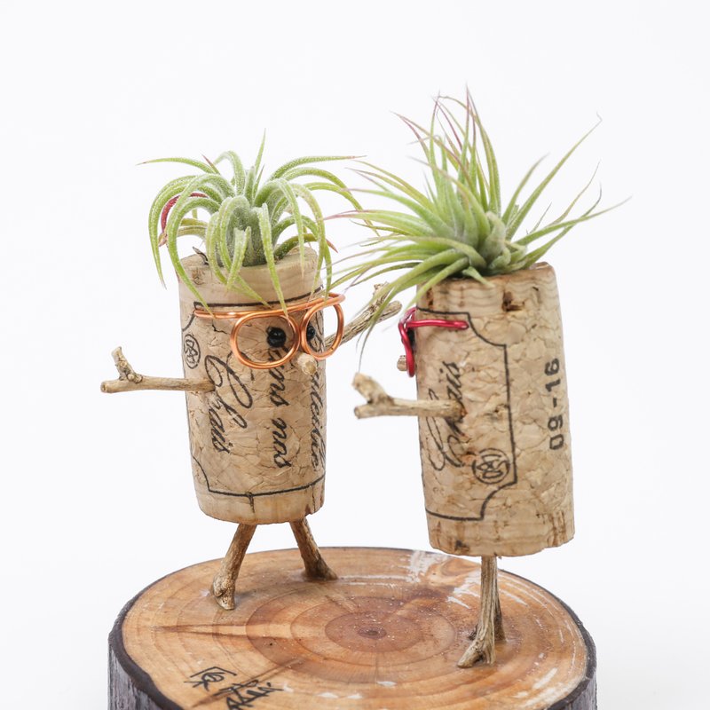 [Red wine cork shaped decoration] Hug and propose in love while sitting together with air pineapple | Shi Guang - Plants - Plants & Flowers 