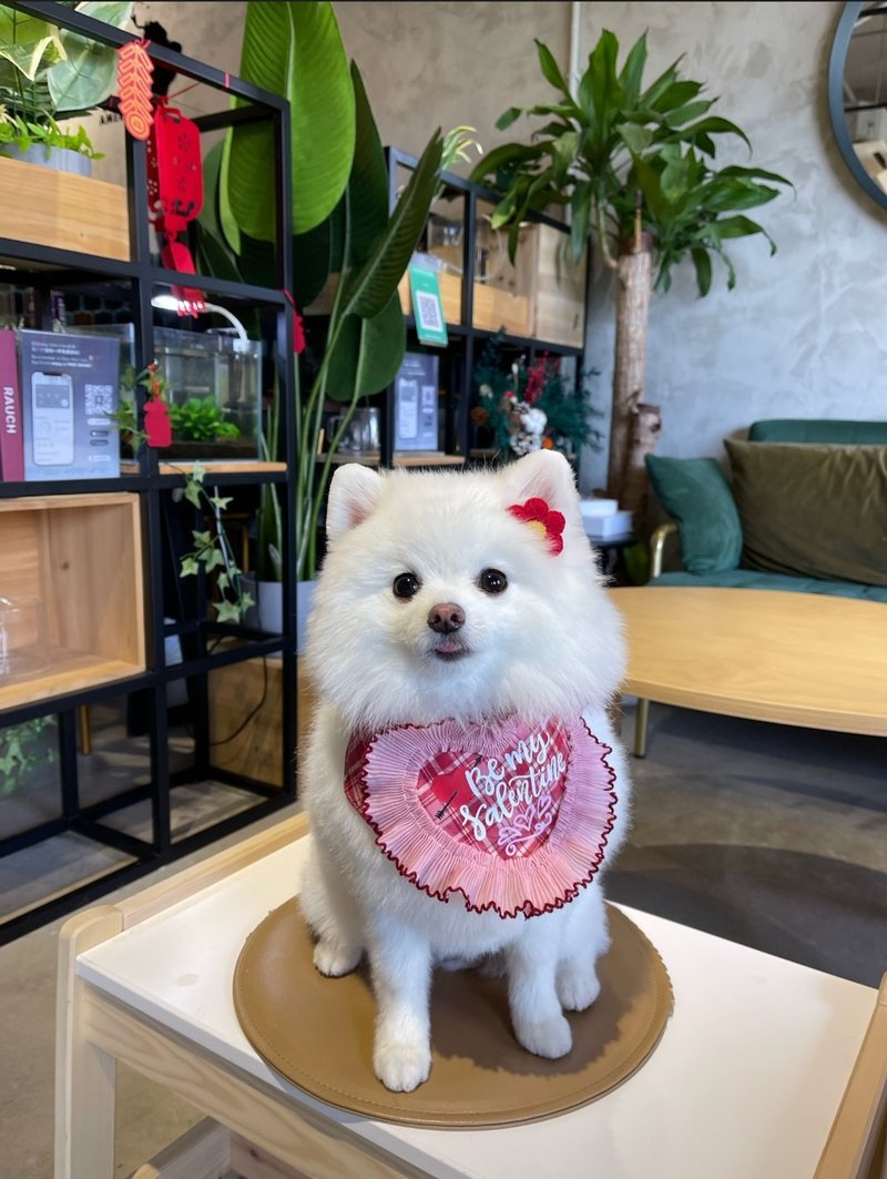 現貨 Be My Valentine 情人節 Happy Valentine's Day 寵物圍巾 - 項圈/牽繩 - 棉．麻 粉紅色