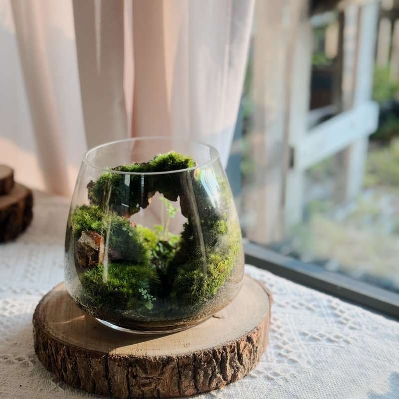 【微景觀】別有洞天 苔蘚缸.生態缸.造景 - 盆栽/植栽 - 植物．花 綠色
