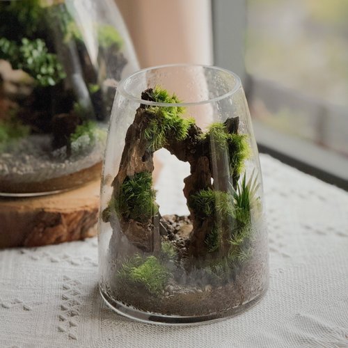 ❣️苔アート❣️ガラス水槽 自然風景レイアウト[送料込み] オンラインショップ | 苔アート、苔アートキット、モスチャー、苔