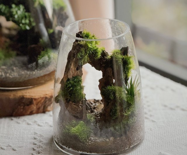 ❣️苔アート❣️ガラス水槽 自然風景レイアウト[送料込み] 楽天市場】【テラリウム ガラス容器 コケリウム 苔 コケ 苔