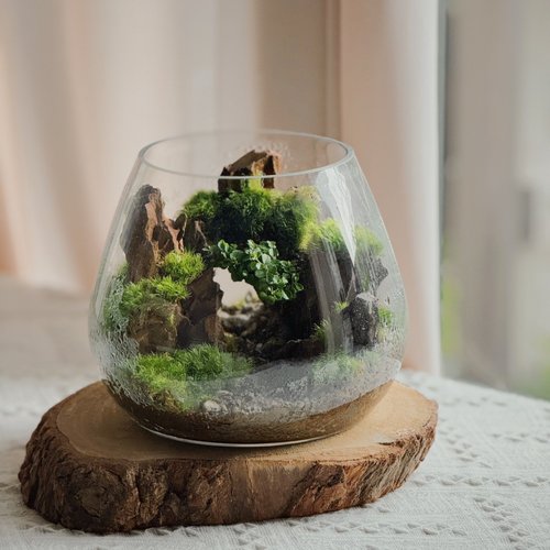 ❣️苔アート❣️ガラス水槽 自然風景レイアウト[送料込み] ガラスボールの中に作った苔テラリウムです。 曲線のラインが