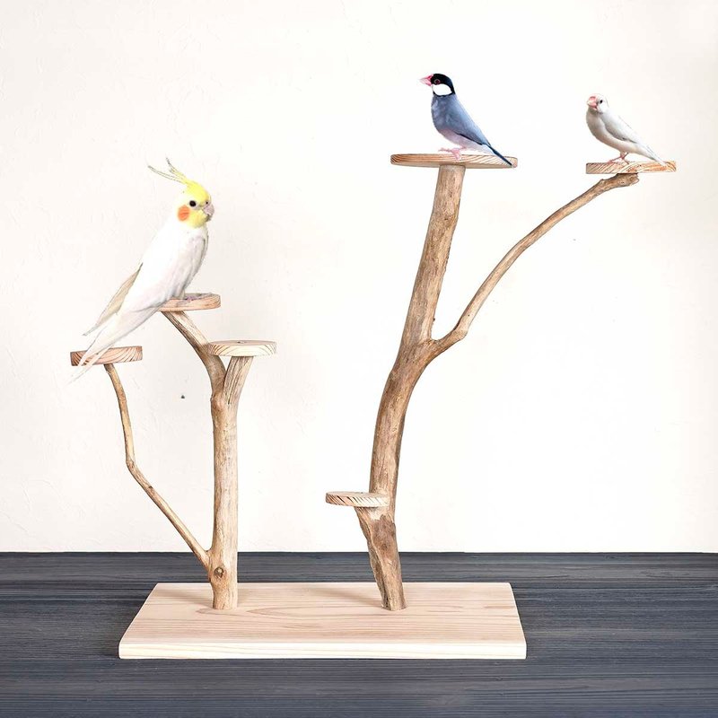 流木の止まり木【バードランドの子守歌】バードスタンド、止まり木、流木、流木アート、飾り棚、１３５ - 貓/狗玩具 - 木頭 咖啡色