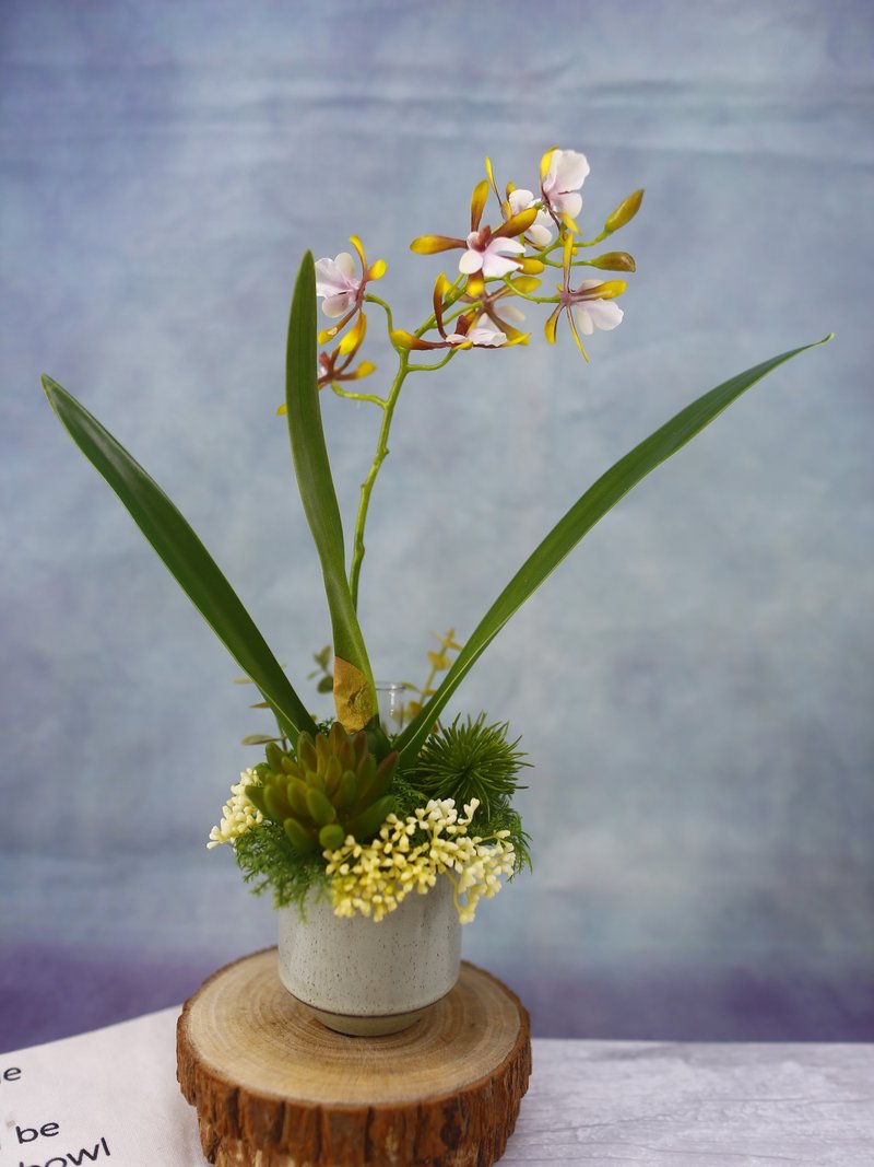 咖啡小蘭花日式陶盆香氛花禮/入厝禮/開幕/喬遷/送禮/植栽 - 盆栽/植栽 - 其他材質 咖啡色