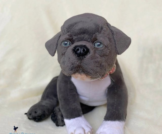 american pit bull terrier dog puppy realistic toy Shop