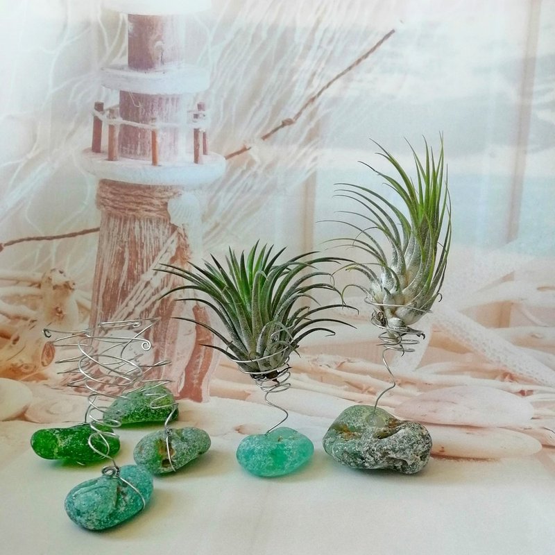 Sea glass Plant decoration 空氣鳳梨擺飾 Air Plant Holder/Tillandsia holder/Indoor pot - 其他 - 玻璃 綠色