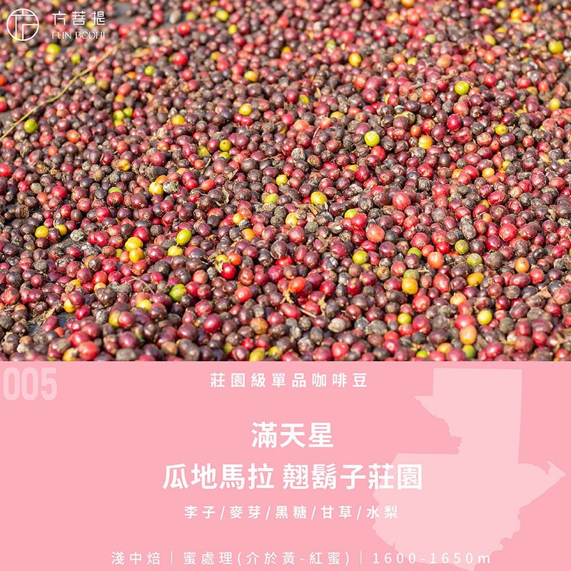 掛耳式咖啡 濾掛式 單品咖啡 聖誕優惠 瓜地馬拉 蜜處理 滿天星 - 咖啡/咖啡豆 - 其他材質 粉紅色