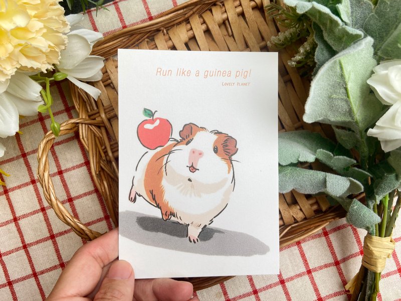 Lovely Planet guinea pig postcardl running guinea pig - Cards & Postcards - Paper Orange