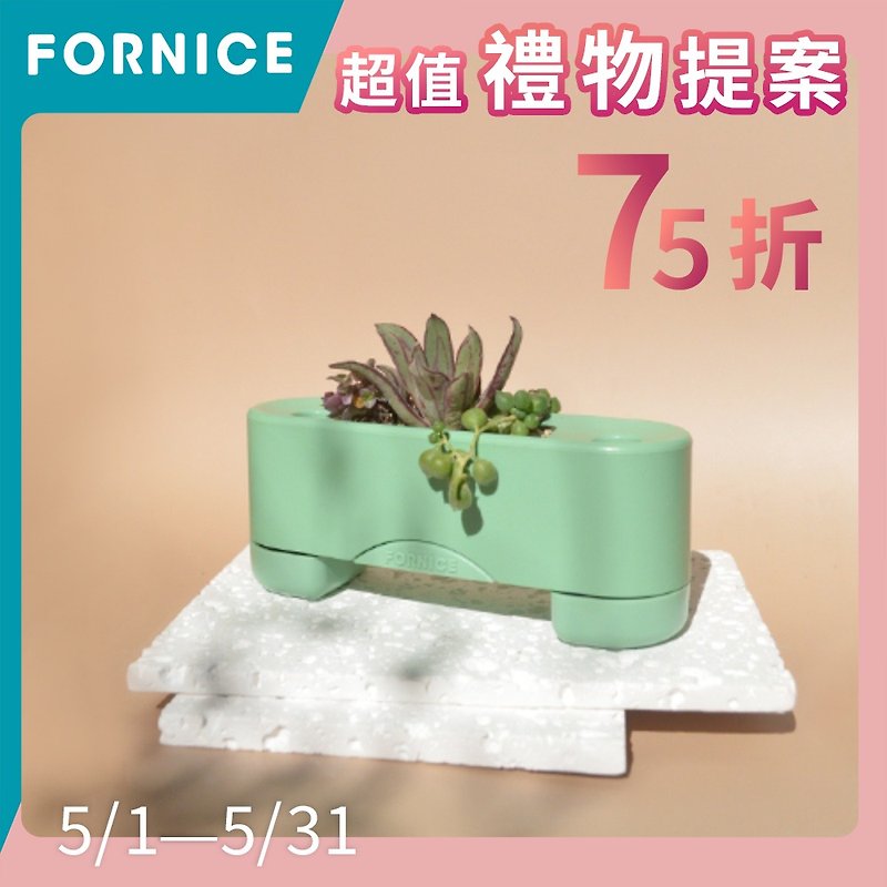 Fornice Feng Lai Shi [With a potted plant in the group - Fern Green] - Plants - Other Materials 