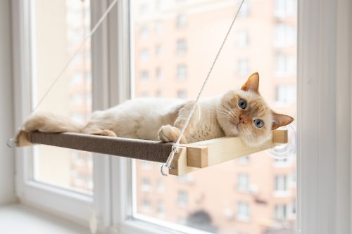 PetJoy 貓窗台 貓窗吊床 貓窗台 貓窗床 貓窗座 貓窗架 貓窗台吊床