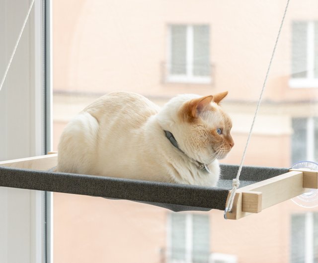 Window ledge outlet cat bed