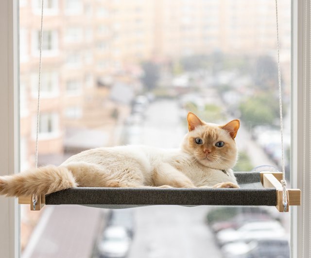 猫の窓止まり木、窓用猫ハンモック,猫窓ハンモック吸引