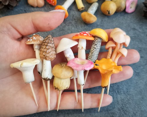 FRUIT STORIES 蘑菇玻璃容器套裝 10 件魔法快樂微型蘑菇有趣的植物樁