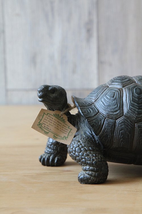 Japan Magnets realistic animal series land turtle shape money box