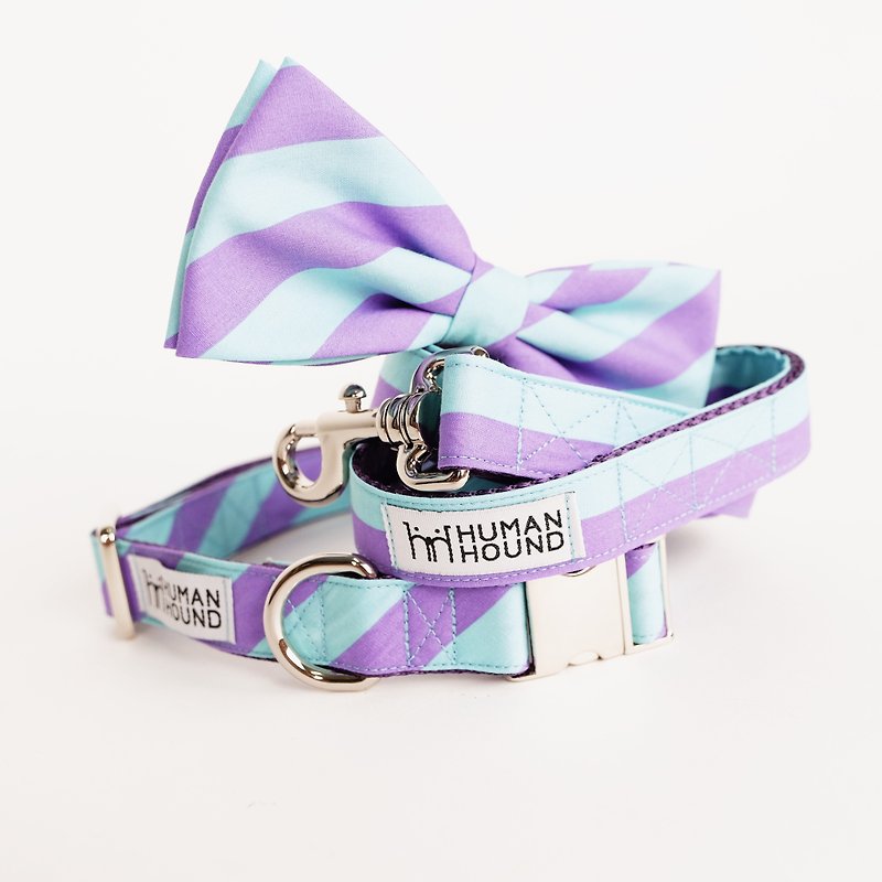 Purple-Pink Chevron - Collars & Leashes - Other Materials Multicolor