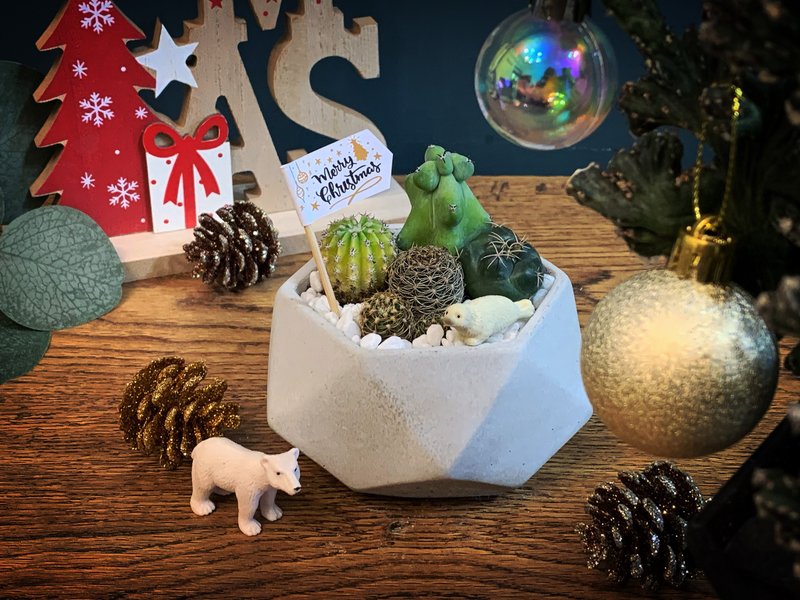 【24H寄出.超夯招財擺飾】繽紛鑽石水泥盆栽-組盆 - 盆栽/植栽 - 水泥 灰色