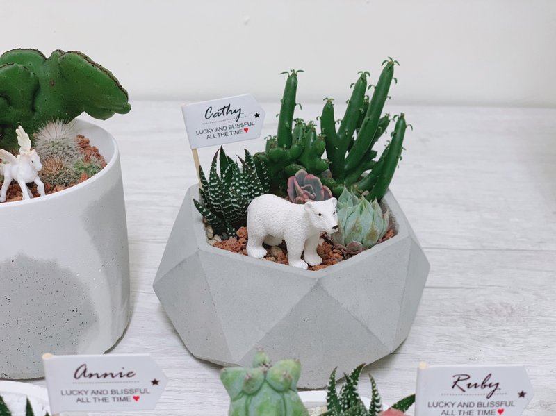 [24H shipping. Super strong wealth-attracting decorations] Colorful diamond Cement potted plants - set of pots - ตกแต่งต้นไม้ - ปูน สีเทา