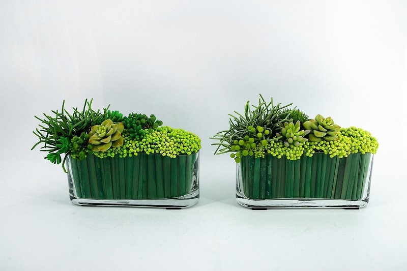 Decorative artificial flowers - floral glass of water bamboo fleshy - ตกแต่งต้นไม้ - วัสดุอื่นๆ สีเขียว