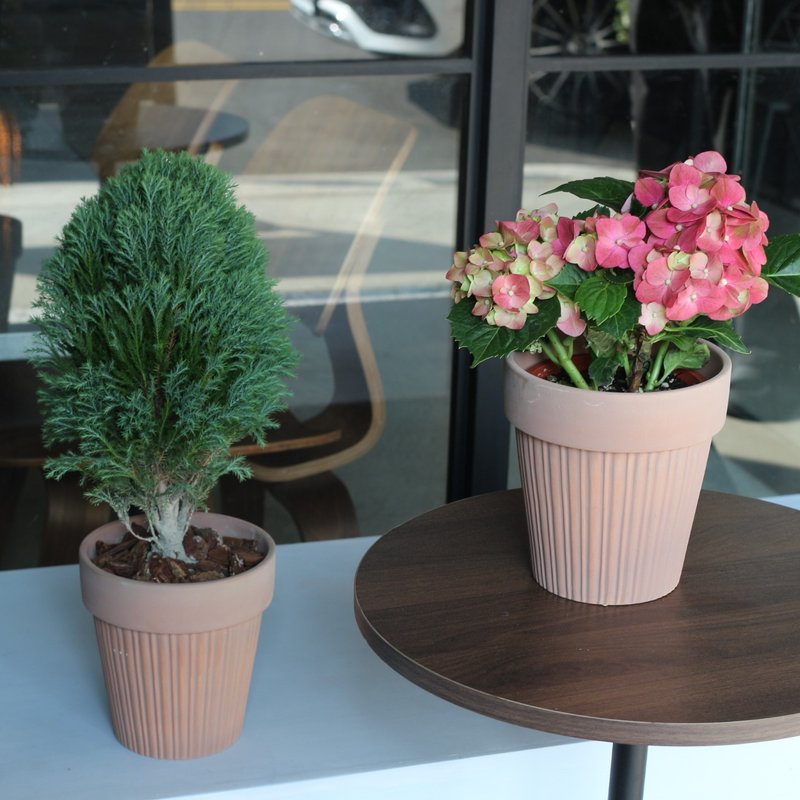 Planting potted plants l 2024 New Year Celebration Green Cypress Lollipop Green Cypress Coffee Brick Color Temperament Ceramic Pot - ตกแต่งต้นไม้ - ดินเผา 