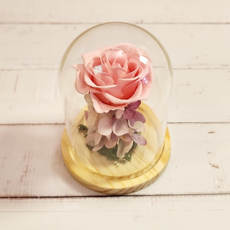 Everlasting Rose Mini Glass Cover-Baby Pink - Dried Flowers & Bouquets - Plants & Flowers Pink