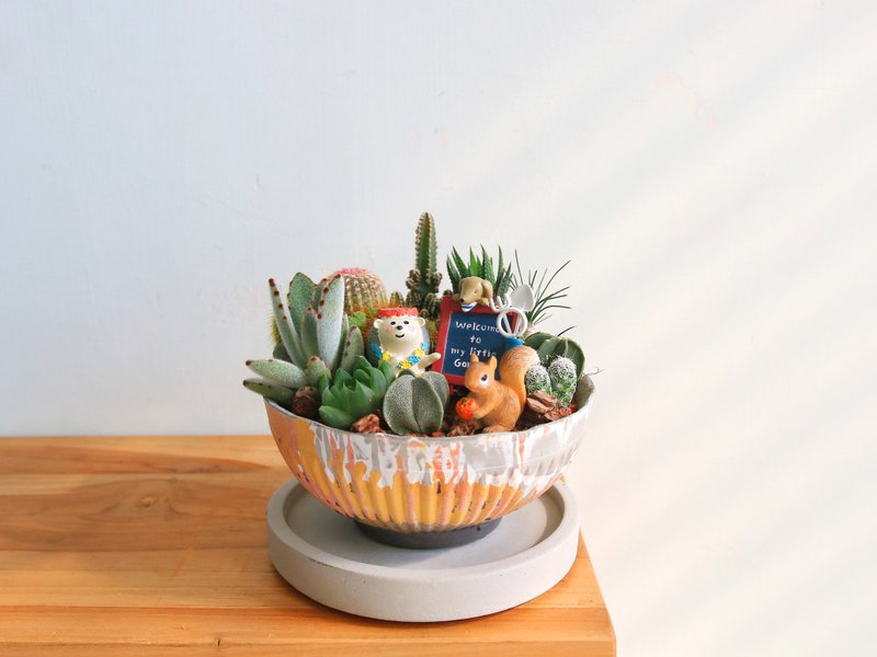 Succulent combination Japanese style hand-kneaded Cement potted plants/opening potted plants promoted potted plants new home completed - Plants - Cement Orange