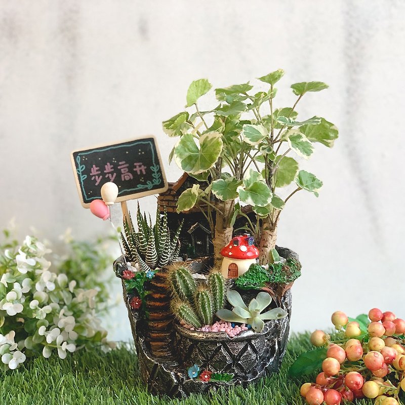 璎珞Manor*PD14/Cactus/Succulent/Opening Gift/Office Small Object/Home Decoration - Plants - Plants & Flowers 