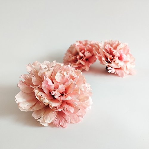 floweristath Carnation : Dried flower for Home Décor, vases, wedding bouquets. (6 pcs./pack)