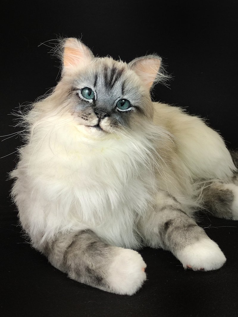 Custom made realistic stuffed Birman cat doll - 公仔/玩偶 - 其他材質 