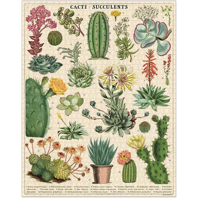 Cavallini & Co. Round Jar 1000 Piece Jigsaw Puzzle_Succulent Plants - Puzzles - Paper Multicolor