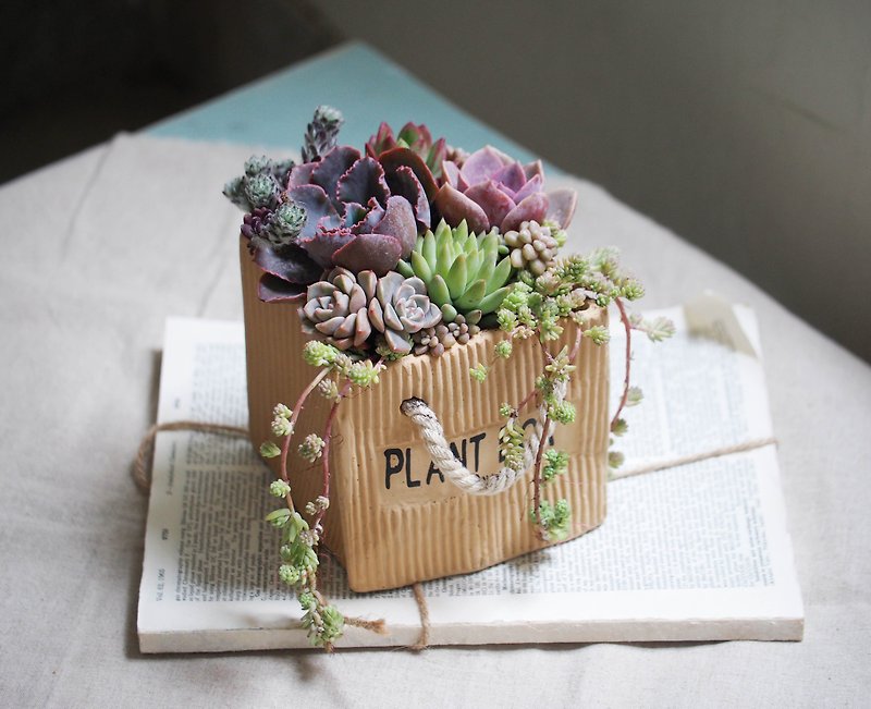 Healing Series | Love Gift Succulent Combination Potted - ตกแต่งต้นไม้ - ดินเผา 