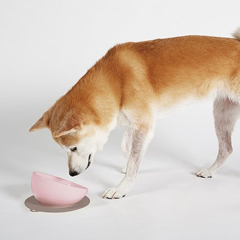 中型犬專用三色磁碗 - 寵物碗/碗架/自動餵食器 - 陶 粉紅色