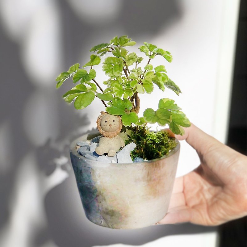 Simple Life Class Yefulutong Wealth Tree Cement Basin | Good Home Office Partner WFH - Plants - Plants & Flowers Green