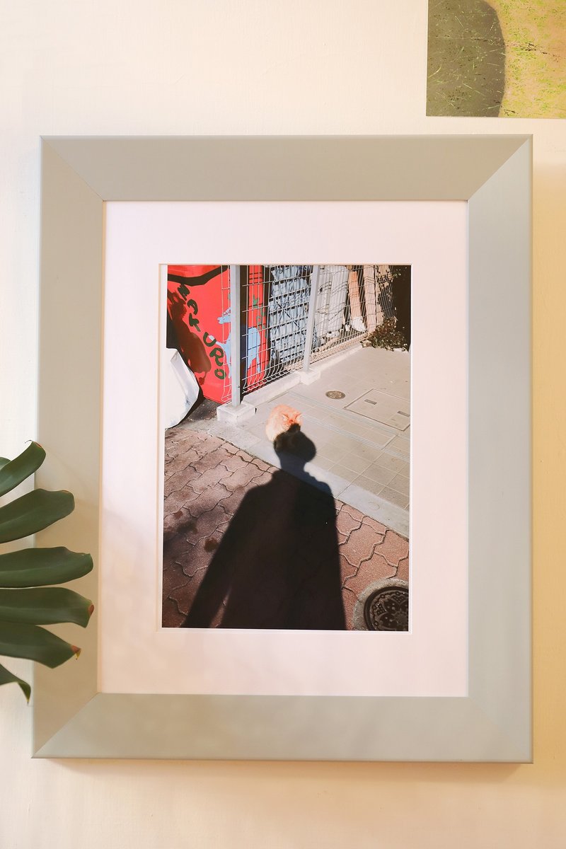 八景島的貓 - 攝影集 - 紙 