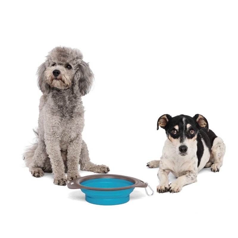【MPETS】Perfect for Outings & Travel! Portable Collapsible Bowl for Dogs & Cats - Pet Bowls - Other Materials Multicolor