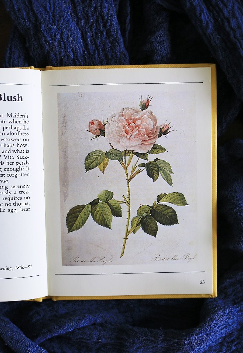 イギリス1983年代の古典的なイラスト[バラ]レトロな小さな本No.4 - 本・書籍 - 紙 イエロー