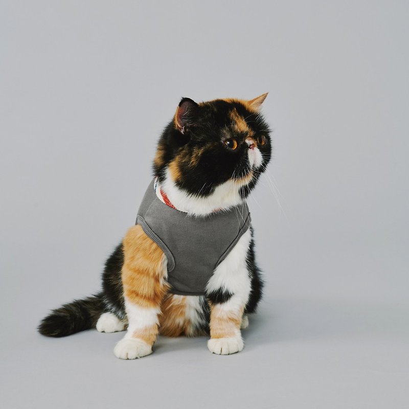momotone-Boo_ cat and dog wearable vest gray - Clothing & Accessories - Cotton & Hemp 