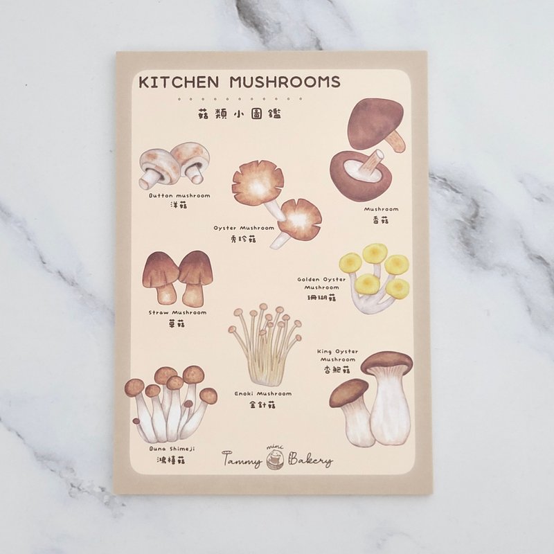 Hand-drawn Postcard: Culinary Mushroom Guide | Illustrated Card, All-Purpose Card, Birthday Card, Food, Dessert, Illustration - Cards & Postcards - Paper Multicolor